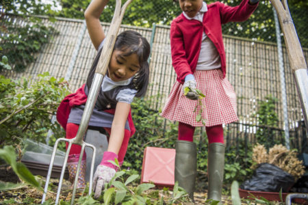 Child digging on Outdoor Classroom Day