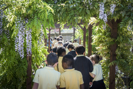 Children learning outdoors